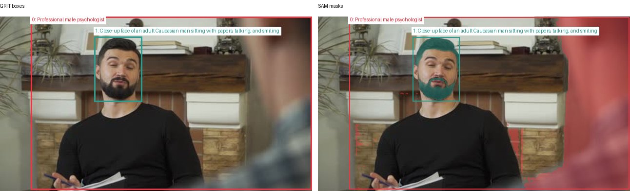 GRIT boxes and SAM masks