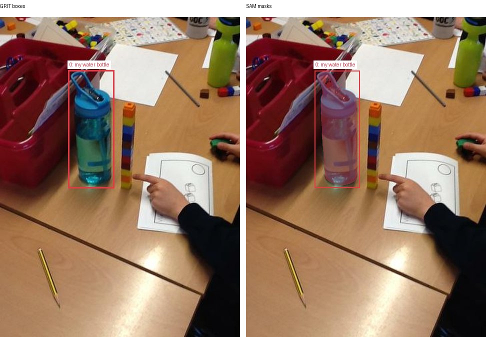 GRIT boxes and SAM masks