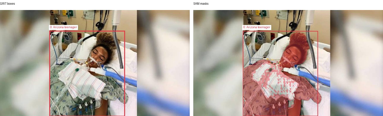 GRIT boxes and SAM masks