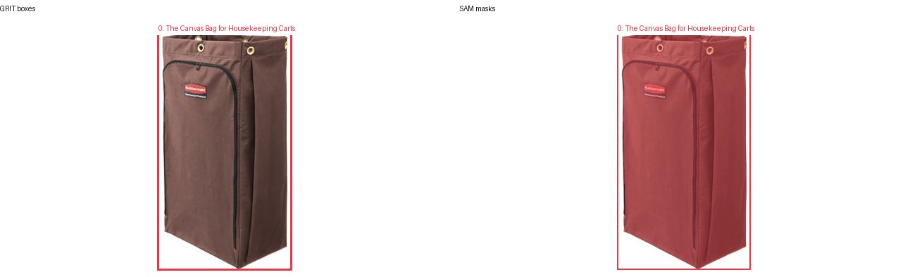 GRIT boxes and SAM masks