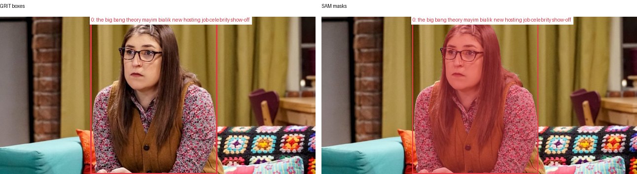 GRIT boxes and SAM masks