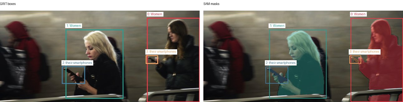 GRIT boxes and SAM masks
