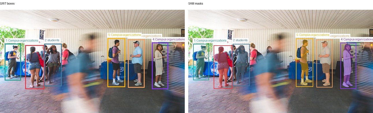 GRIT boxes and SAM masks