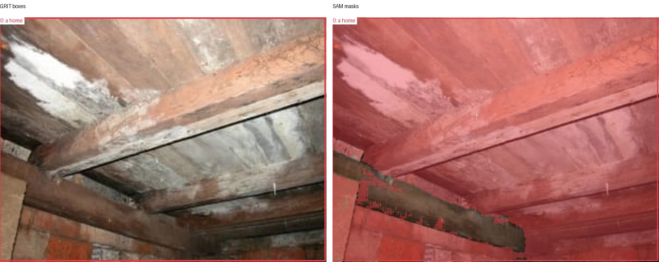 GRIT boxes and SAM masks