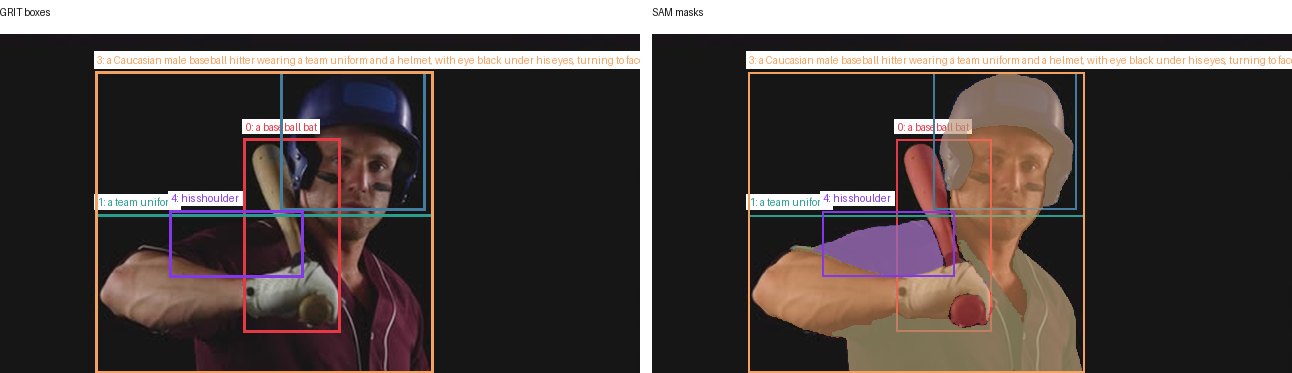 GRIT boxes and SAM masks