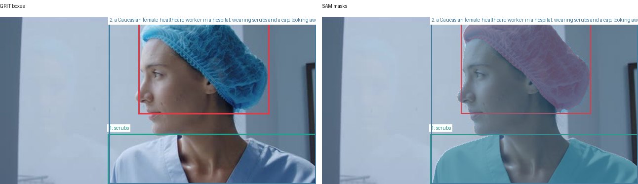 GRIT boxes and SAM masks