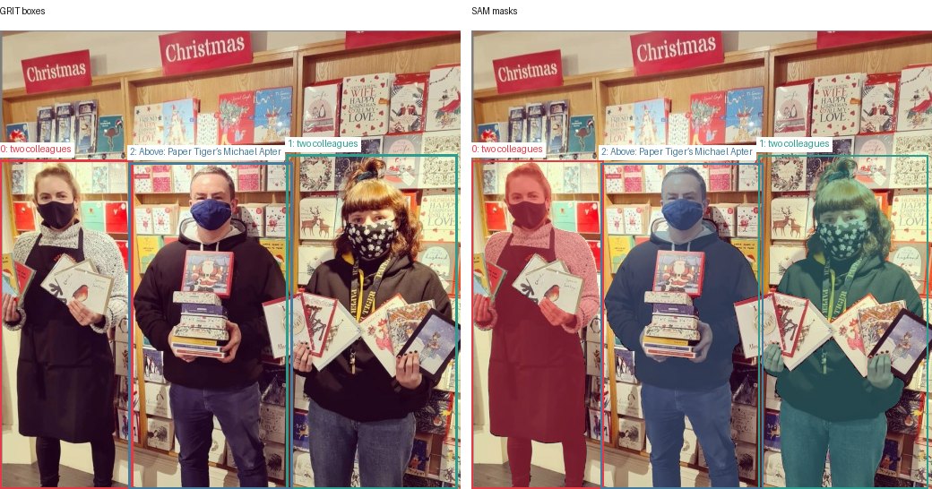 GRIT boxes and SAM masks