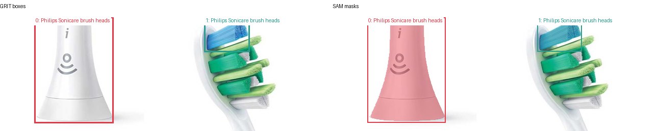 GRIT boxes and SAM masks