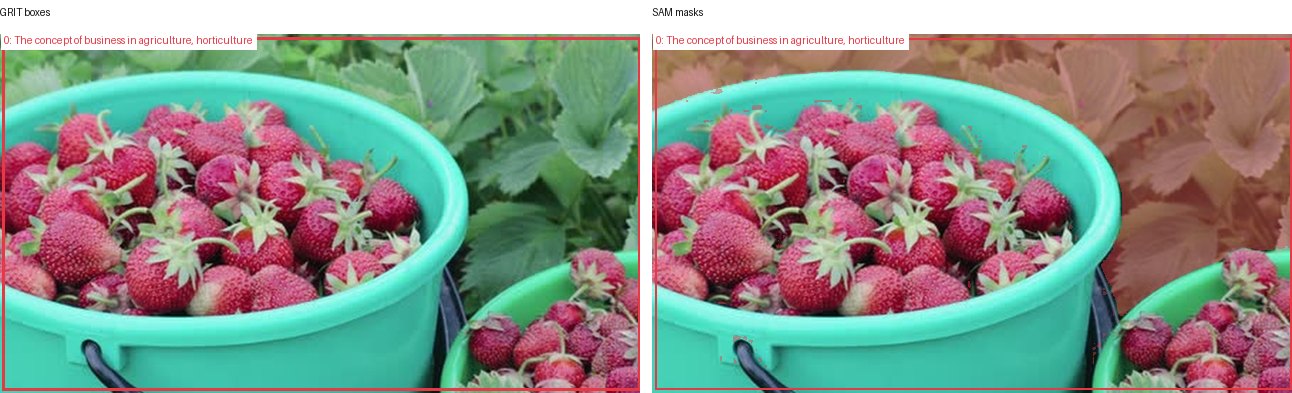 GRIT boxes and SAM masks