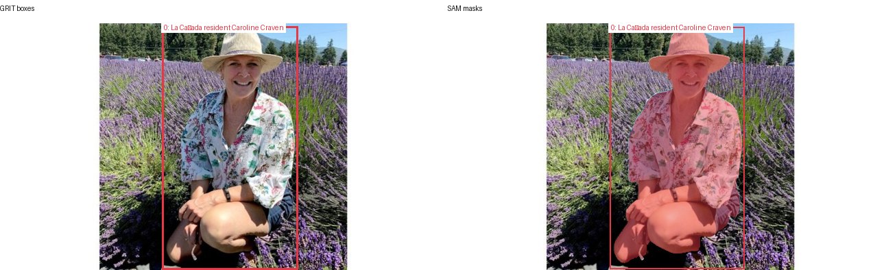 GRIT boxes and SAM masks