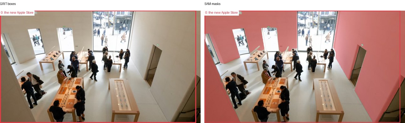 GRIT boxes and SAM masks