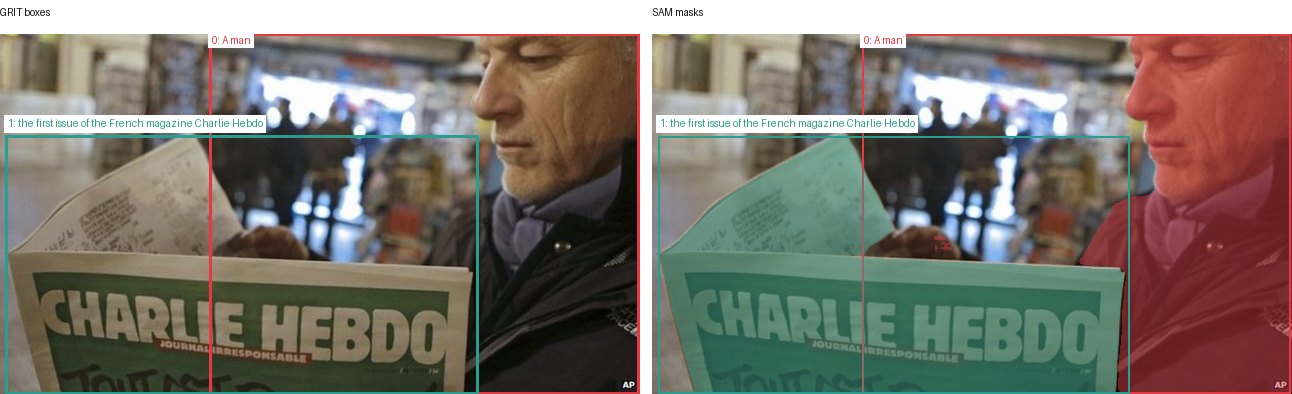 GRIT boxes and SAM masks