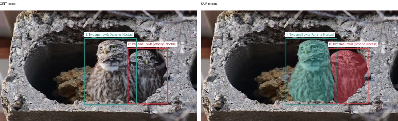 GRIT boxes and SAM masks