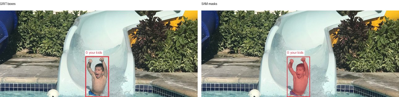 GRIT boxes and SAM masks