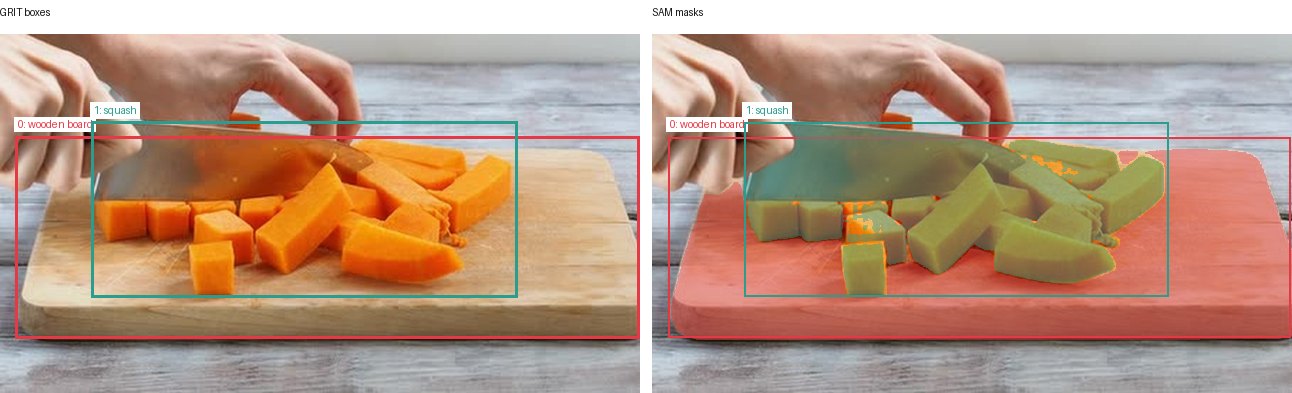 GRIT boxes and SAM masks