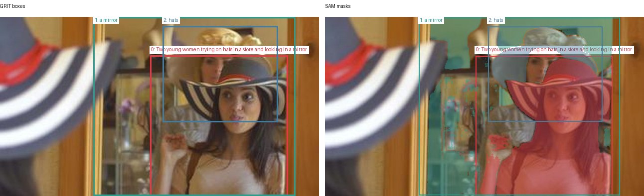GRIT boxes and SAM masks