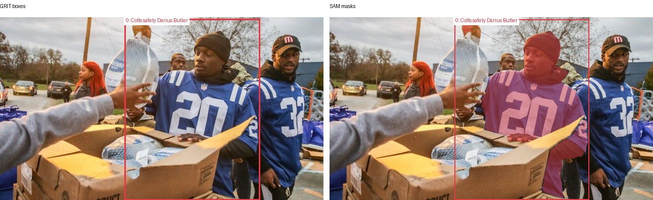 GRIT boxes and SAM masks