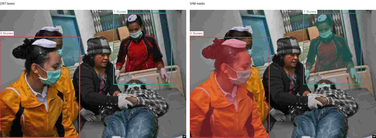GRIT boxes and SAM masks