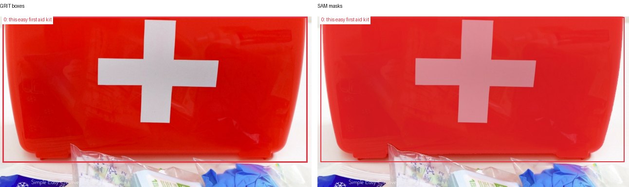 GRIT boxes and SAM masks