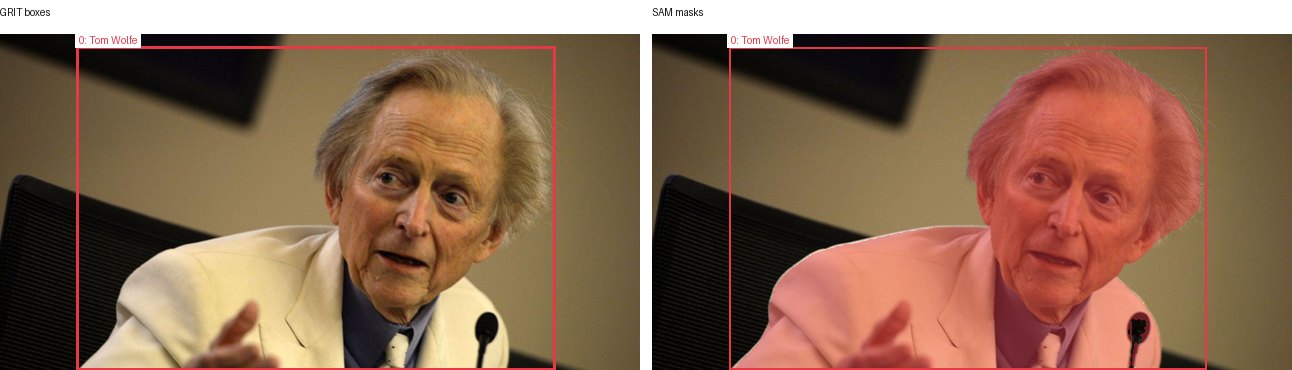 GRIT boxes and SAM masks