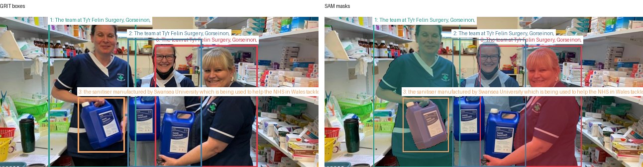 GRIT boxes and SAM masks