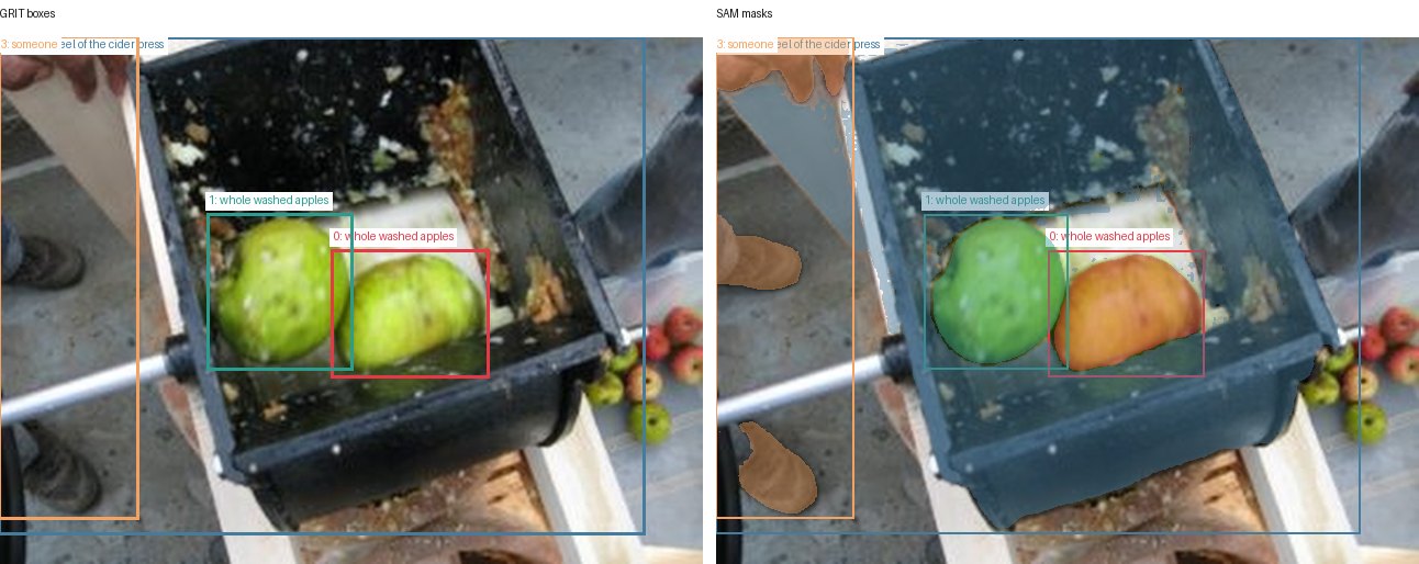 GRIT boxes and SAM masks
