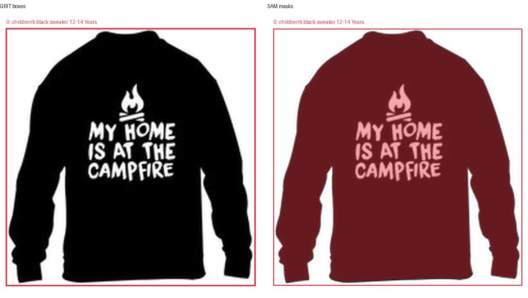 GRIT boxes and SAM masks