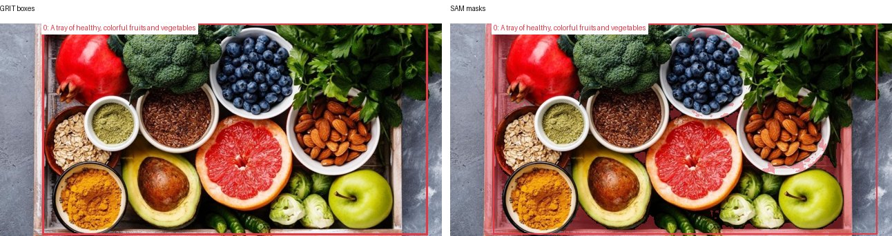GRIT boxes and SAM masks