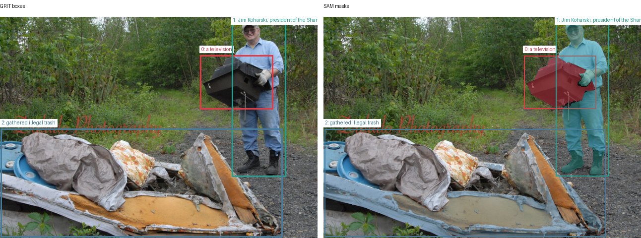 GRIT boxes and SAM masks