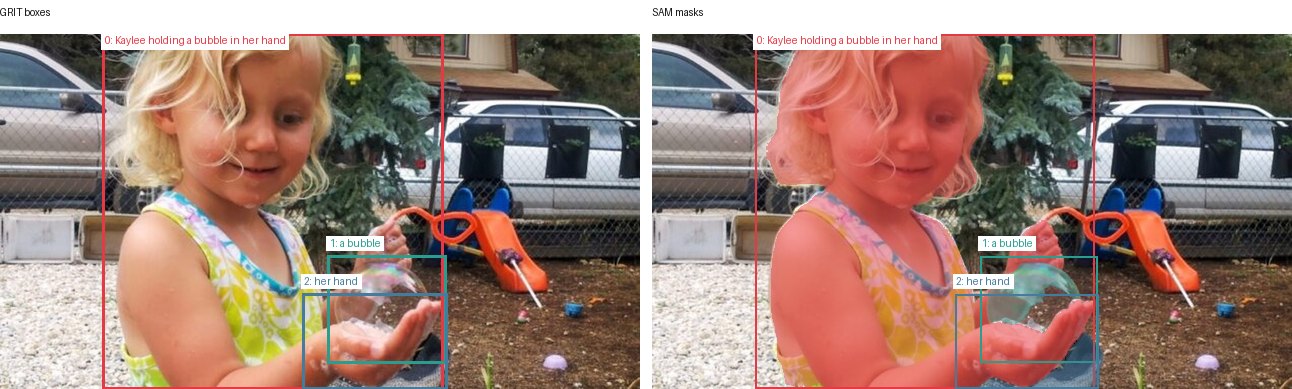 GRIT boxes and SAM masks