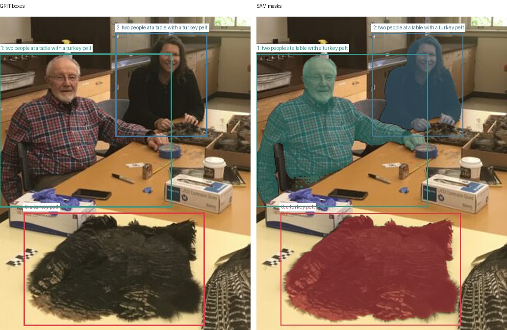 GRIT boxes and SAM masks