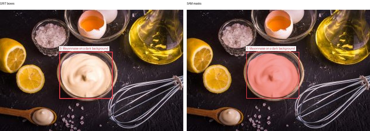 GRIT boxes and SAM masks
