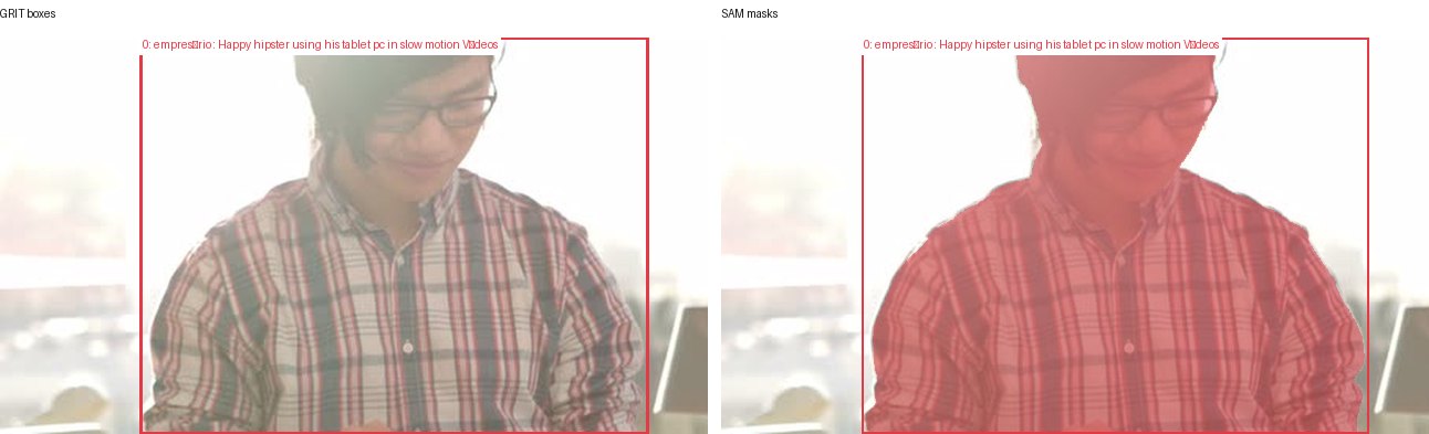 GRIT boxes and SAM masks