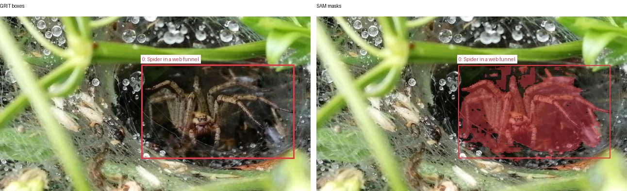 GRIT boxes and SAM masks