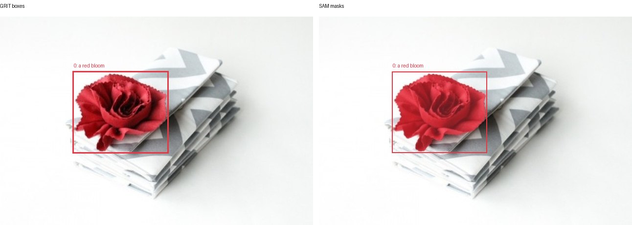 GRIT boxes and SAM masks