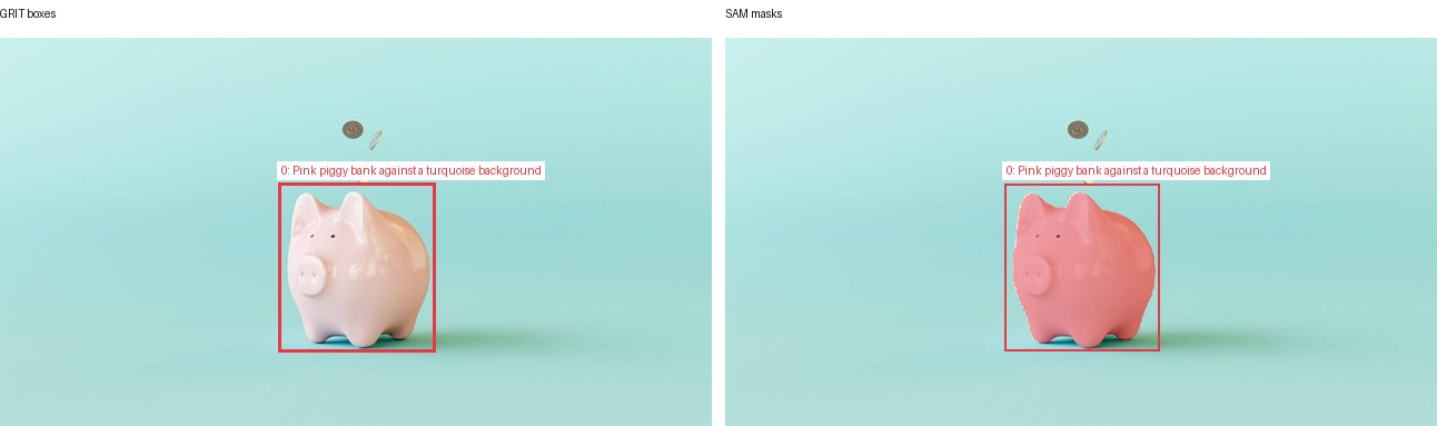 GRIT boxes and SAM masks