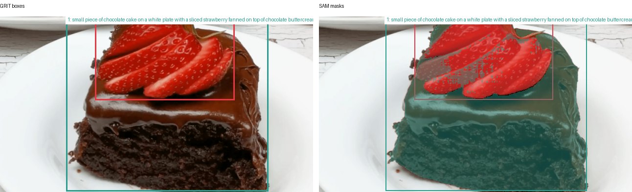 GRIT boxes and SAM masks