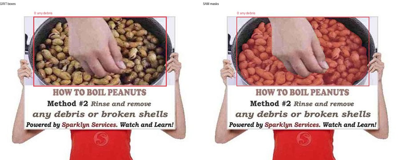 GRIT boxes and SAM masks