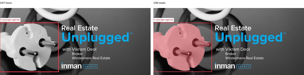 GRIT boxes and SAM masks