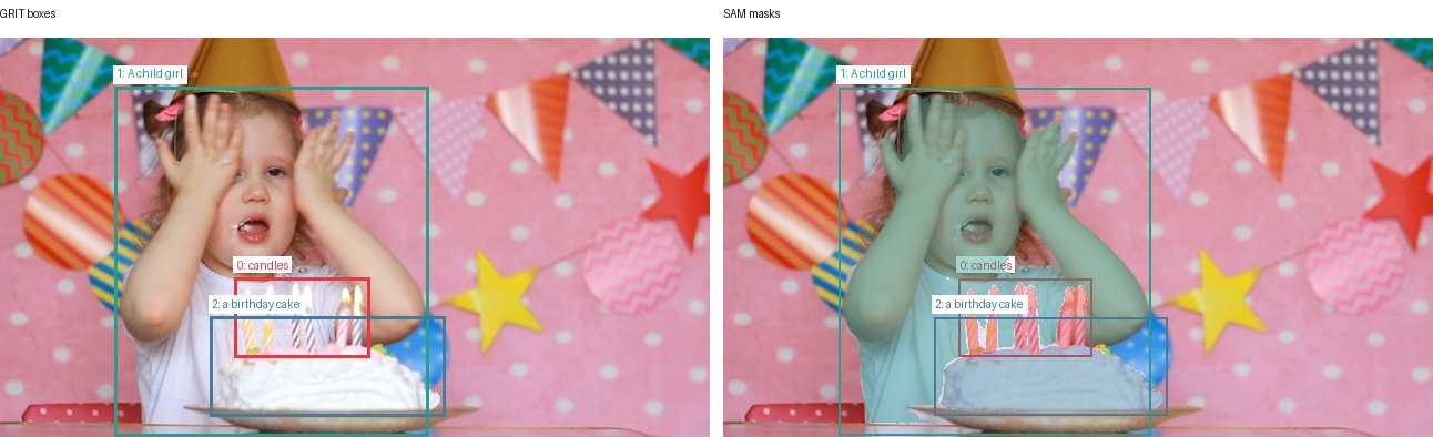 GRIT boxes and SAM masks