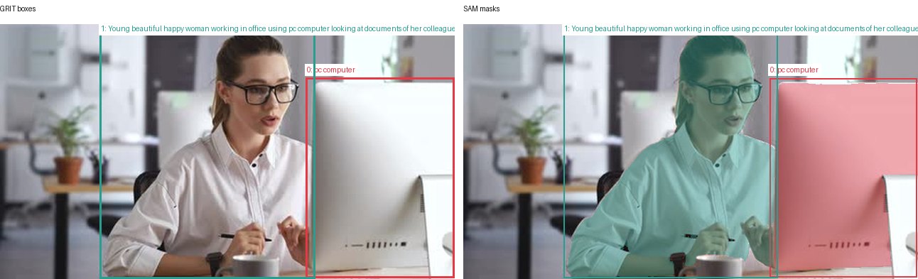 GRIT boxes and SAM masks