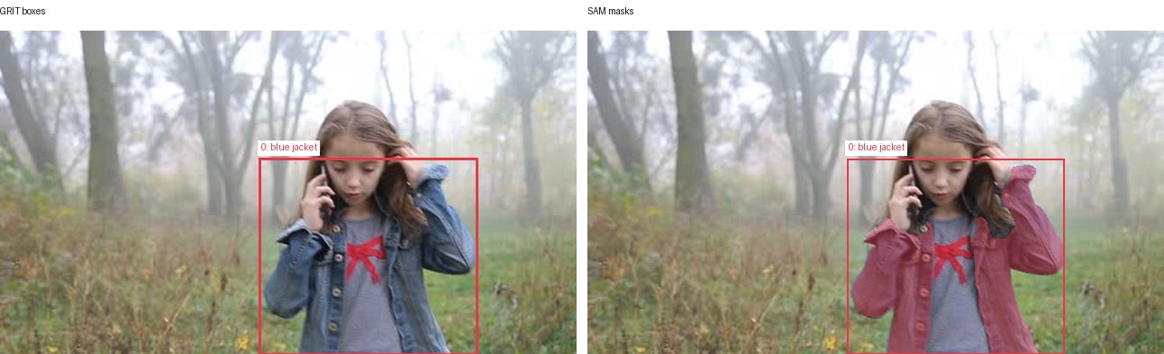 GRIT boxes and SAM masks