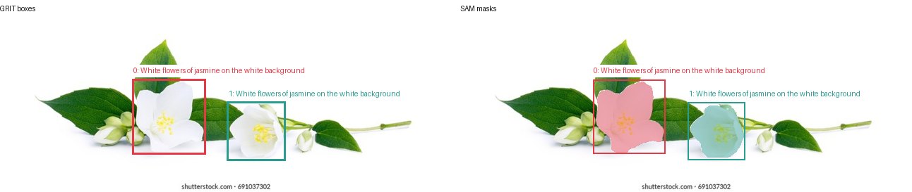 GRIT boxes and SAM masks