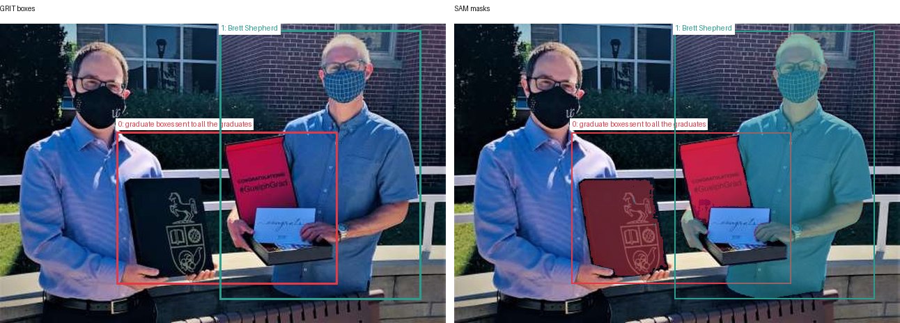 GRIT boxes and SAM masks