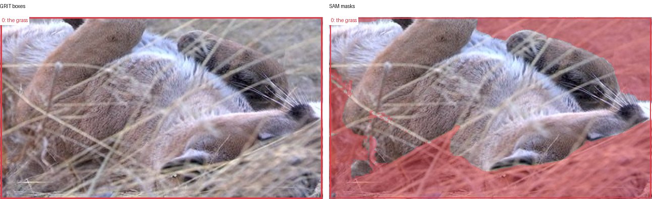 GRIT boxes and SAM masks