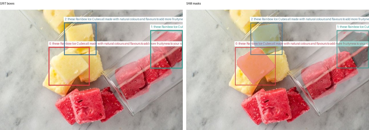 GRIT boxes and SAM masks