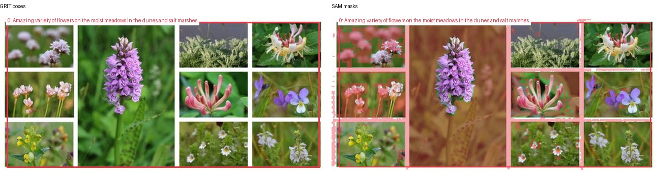 GRIT boxes and SAM masks