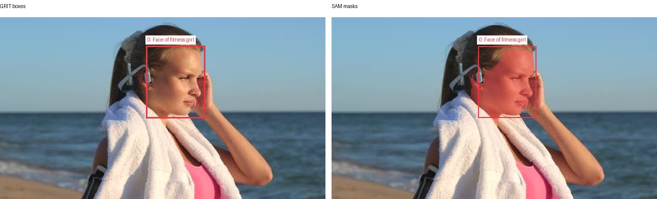 GRIT boxes and SAM masks