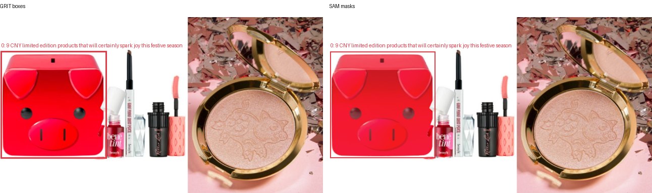 GRIT boxes and SAM masks