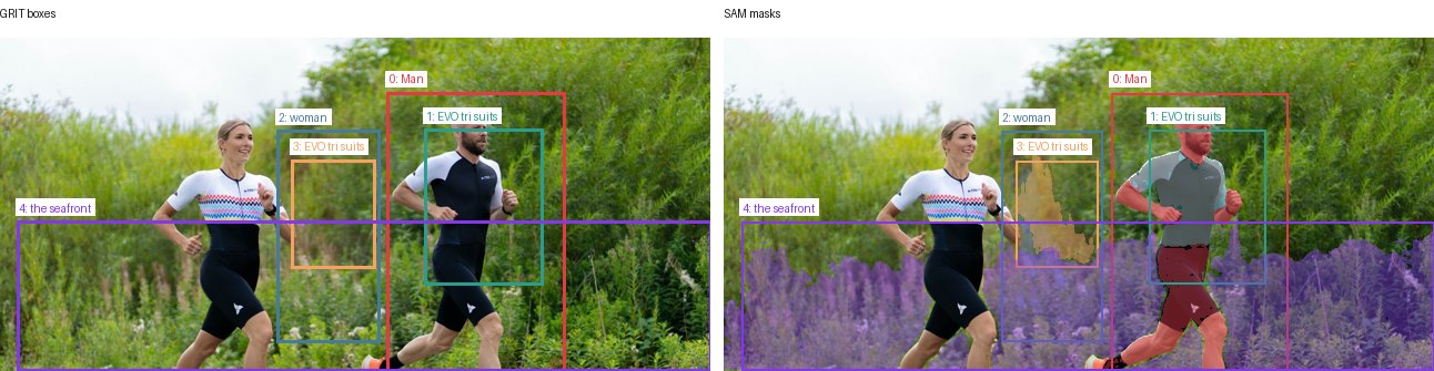 GRIT boxes and SAM masks